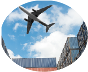 Transporte Internacional Óvalo - Cargo SAS